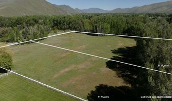 113 117 Lower Broadford Rf, Bellevue, ID 83313