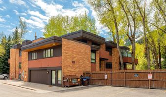 400 W Hopkins Ave 5, Aspen, CO 81611