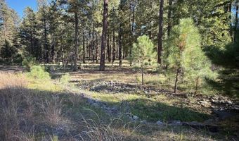 7 2190, Alpine, AZ 85920