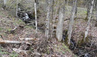 169 Bear Hill Rd, Braintree, VT 05060