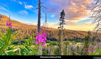 Stillwater Drive, Cody, WY 82450