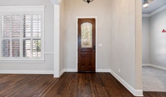 411 Brazoria Dr, Allen, TX 75013
