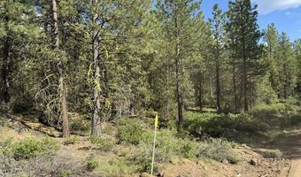 Thunderbear Road 46, Bonanza, OR 97623