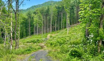 Pumpkin Patch Road, Bakersville, NC 28705