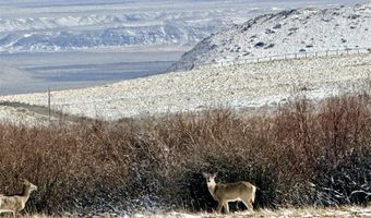 409 Tolman Rd, Clark, WY 82435