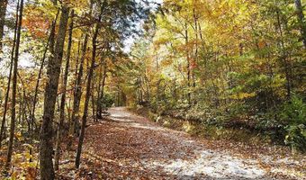 Yellow Springs ROAD, Cosby, TN 37722