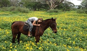 64-486 Kamehameha Hwy 21-A, Haleiwa, HI 96712