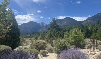 233 Sierra Country Cir, Gardnerville, NV 89460