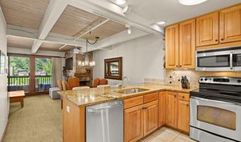 610 S West End St H202, Aspen, CO 81611