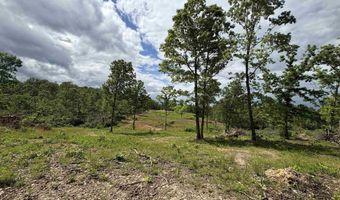 3968 HWY 167, Ash Flat, AR 72513