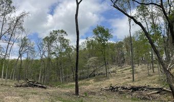 State Hwy N Tract G, Ava, MO 65608