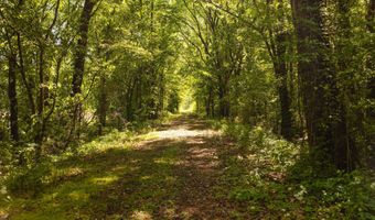 Beech Bluff Road, Beech Bluff, TN 38313