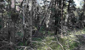 2 Back Basin Rd, Angel Fire, NM 87710