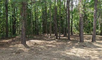 Peace Lane, Bowman, SC 29018