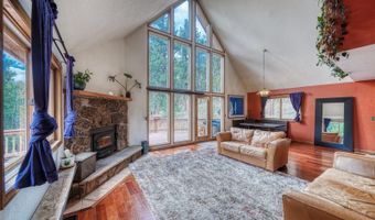 33 Grouse Ln, Bailey, CO 80421