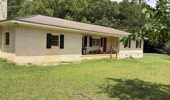 2950 Fountainville Rd, Andersonville, GA 31711