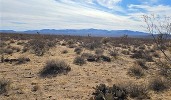 320 Acres W Brittlebush Dr, Yucca, AZ 86438