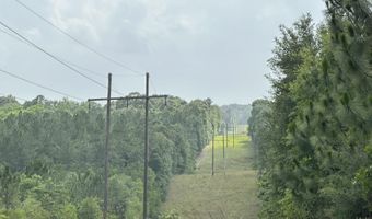 40 Ac +/- Old River Rd, Baker, FL 32531