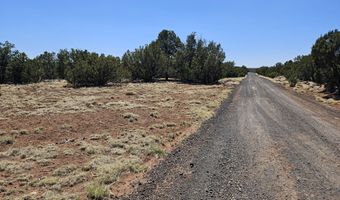 Tbd N8060, Concho, AZ 85924