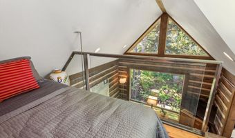 117 Neale Ave, Aspen, CO 81611