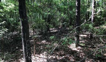 NHN Bear Rd, Carriere, MS 39426