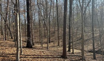 PAYNES POND RD, Arvonia, VA 23004