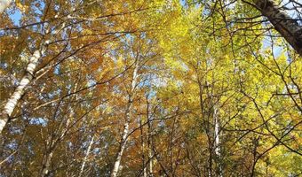 31538 County 23, Akeley, MN 56433