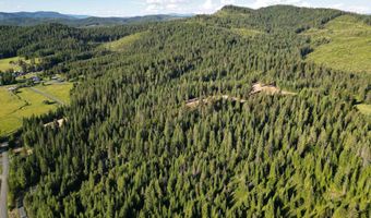 1000 Sanderson Ln, Bovill, ID 83806