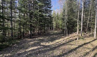 V/L Wildwood Road lot 9, Alger, MI 48610