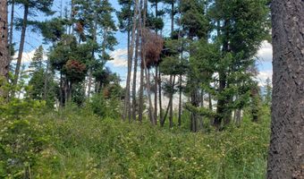 Arlee Pines lot 21, Arlee, MT 59821
