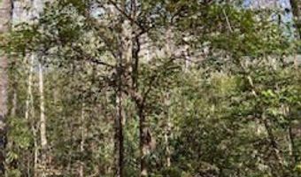 Morris Creek Road lot 2, Andrews, NC 28901