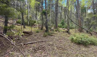 El Camino Real lot 455, Angel Fire, NM 87710