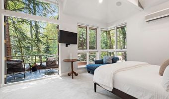 736 W Smuggler St, Aspen, CO 81611