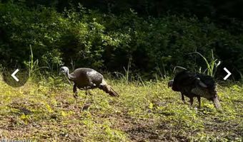 Putnam Road, Belzoni, MS 39038