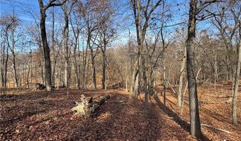 451403 Pheasant Cir Lot 56, Afton, OK 74331