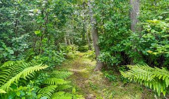 Old Field Road, Aquinnah, MA 02535
