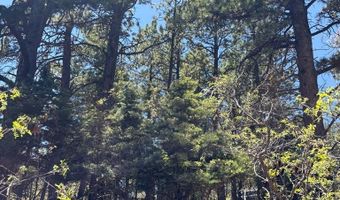 Spanish Peaks Dr, Aguilar, CO 81020