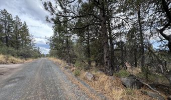 Nighthawk Drive 17 & 18, Bonanza, OR 97623