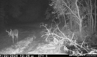 1226 Joe Kidder Rd, Arnaudville, LA 70512