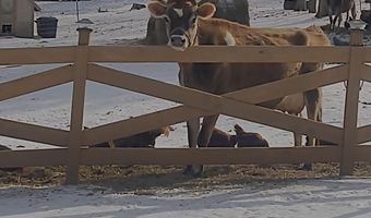 10463 Farm Road 1182, Aurora, MO 65605