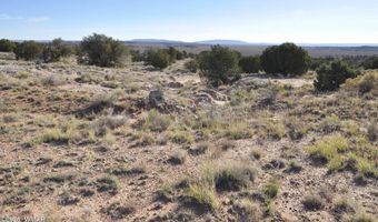 623 C Lazy S Ranch Rd, Concho, AZ 85924