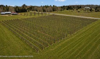8370 Lakeview Rd, Alanson, MI 49706