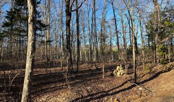 Stockdale Circle, Big Sandy, TN 38221