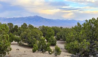 816 Hamilton Stage Rd, Elko, NV 89801