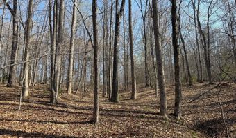 PAYNES POND RD, Arvonia, VA 23004