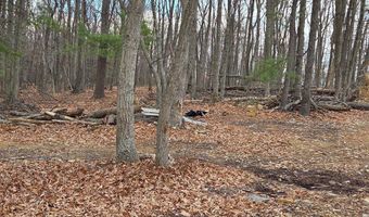 SHERMAN Drive lot 37, Augusta, WV 26704