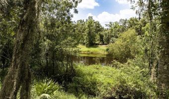 1269 NW PEACE POINTE Dr, Arcadia, FL 34266