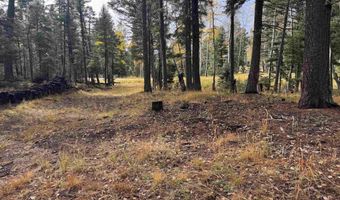 Vermejo Cir lot 15, Angel Fire, NM 87710