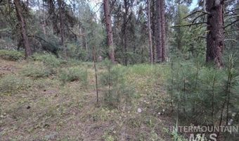 1291 Crown Point Pkwy, Cascade, ID 83611