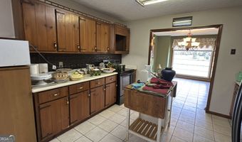 2731 Sawmill Rd, Ailey, GA 30410